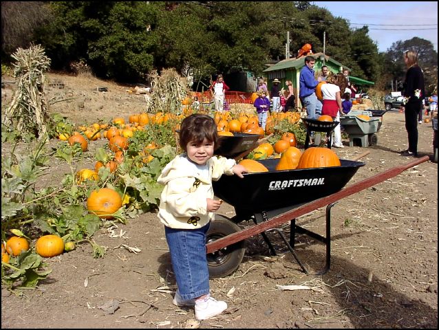 Look-it dat -  big Pumkins and little tiny pumpkins