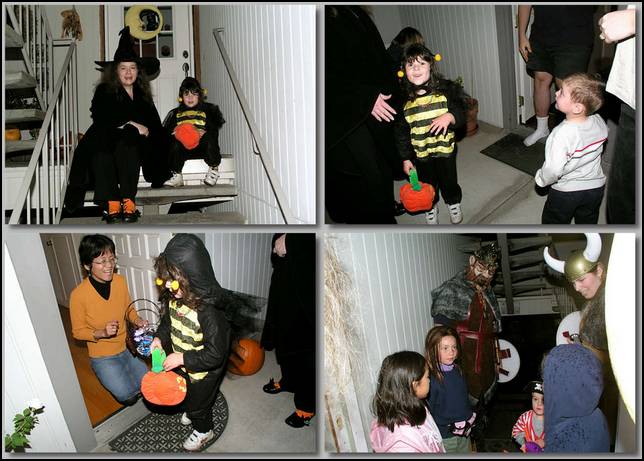 I was a honey bee for halloween and trick-or-treating was fun!