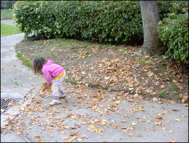 Time to pile up leaves
