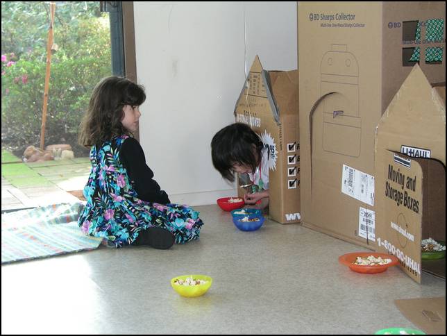 Zoe, Alex, and Katie had made dog houses