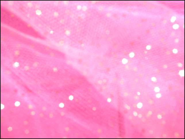 Sydneye's abstract photo through Aurora's dress