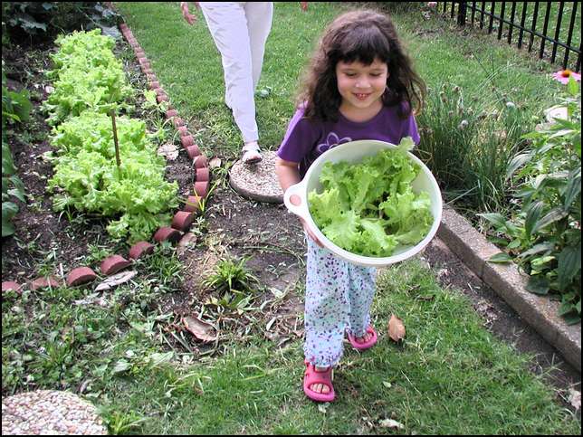 Look at the great lettuce I picked -- I hope my garden at home is growing