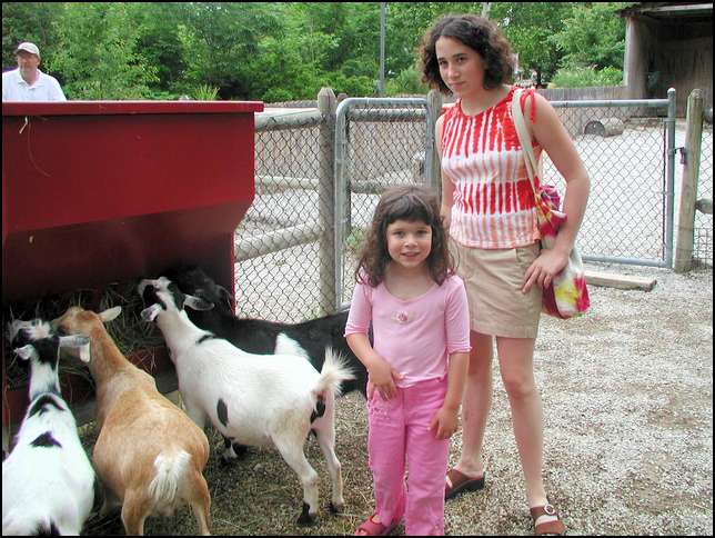 The childrens petting zoo