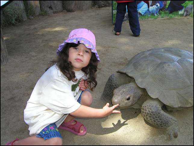 Look I'm feeding the turtle