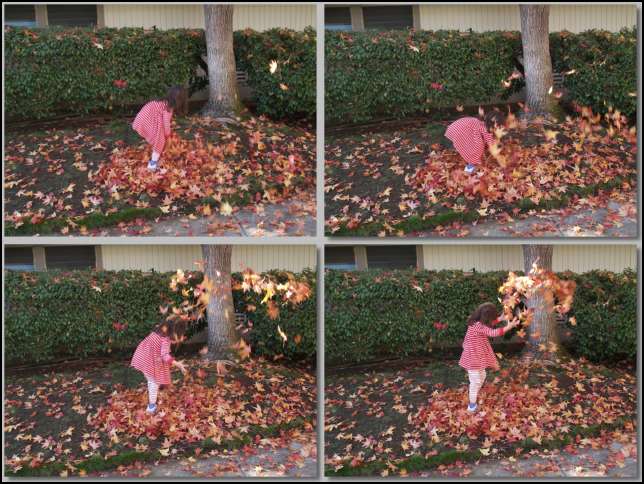 Jumping into leaves is fun -- I like the Fall