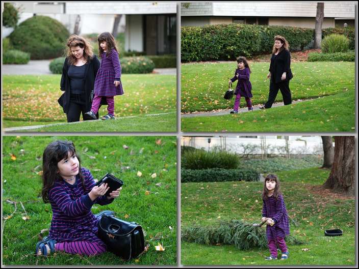 Walking in the courtyard with Mommy and my purse (from Grandma Alberta) and taking care of a broken redwood tree limb
