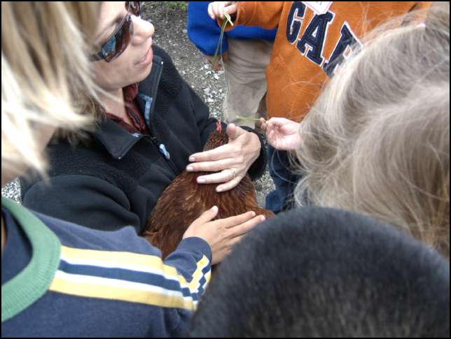 we even got to pet a chicken!