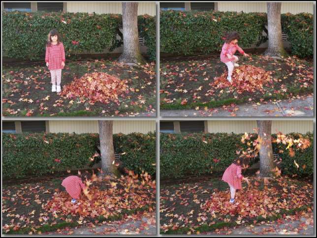 Fall in the courtyard -- ritual jumpin into a pile of autumn leaves!