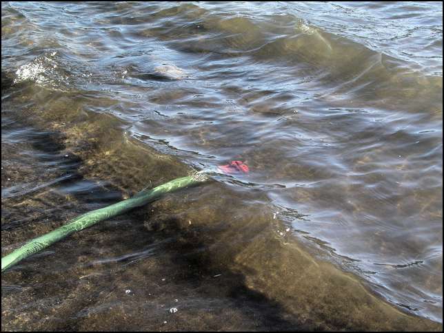Two inch hose with two inch foot valve (just under the waves)