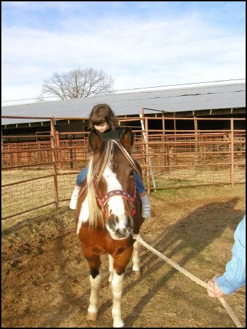 My first pony ride on Princes at the Craig Farm in Arkansas